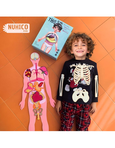 Modelo de Anatomía Humana Hebei 90.2 cm 30 Piezas Educativo