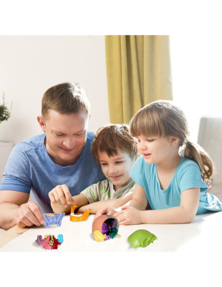 Modelo de Cráneo Humano Breesky 15 Partes Desmontable