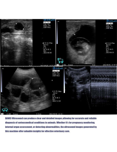 Máquina de Ultrasonido Veterinario DAWEI S1 con Sonda Micro-Cóncava