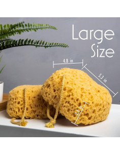 Esponja de Baño Exfoliante MyHomeBody Curvada - 2 Piezas 2