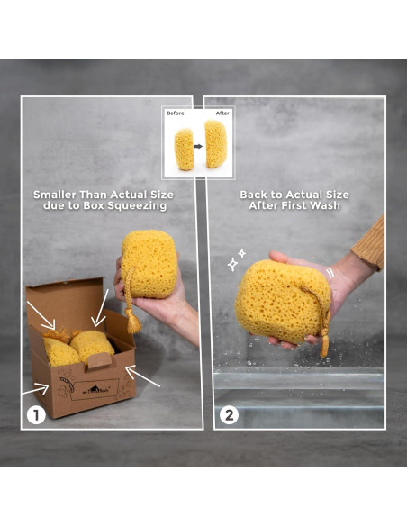 Esponja de Baño Exfoliante MyHomeBody Curvada - 2 Piezas