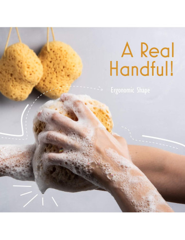 Esponja de Baño Exfoliante MyHomeBody Curvada - 2 Piezas