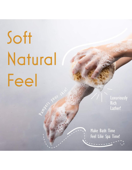 Esponja de Baño Exfoliante MyHomeBody Curvada - 2 Piezas