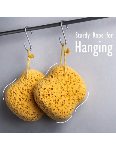 Esponja de Baño Exfoliante MyHomeBody Curvada - 2 Piezas