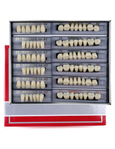168 Piezas Dientes Falsos Dentales Resina Acrílica A2