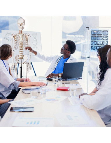 Modelo de Esqueleto Humano Breesky 180 cm con Soporte Rodante