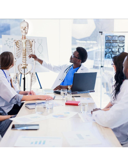 Modelo de Esqueleto Humano Breesky 180 cm con Soporte Rodante