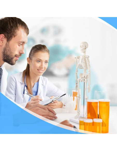 Modelo de Esqueleto Humano Mini Fivtyily 44.96 cm Articulado