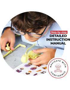 Modelo de Anatomía Humana Rovox - Esqueleto y Torso 30 Piezas 28cm 2