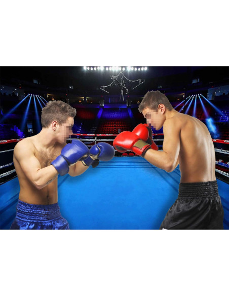 Fondo de Fotografía de Boxeo 210x150cm Update para Fiestas