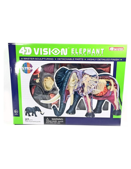 Modelo de Anatomía de Elefante 4DMaster 29 Piezas 24.5 cm