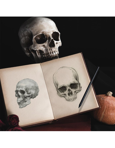 Paquete de 2 Calaveras Decorativas Haniforever - Modelo Humano