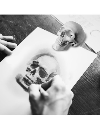 Paquete de 2 Calaveras Decorativas Haniforever - Modelo Humano