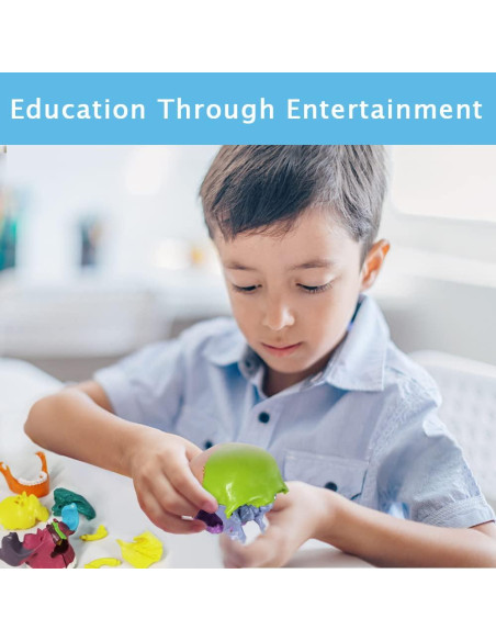 Modelo de Cráneo Mini Colorido Benilev 15 Piezas Didáctico