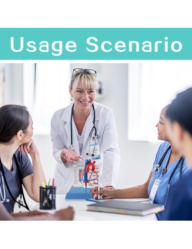 Modelo de Corazón Humano New Horizon 19.8x14.7 cm con Venas