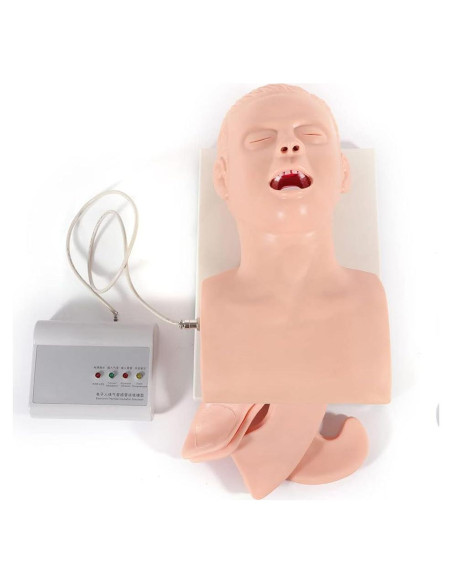 Maniquí de Intubación para Adultos BJTDLLX PVC 220V