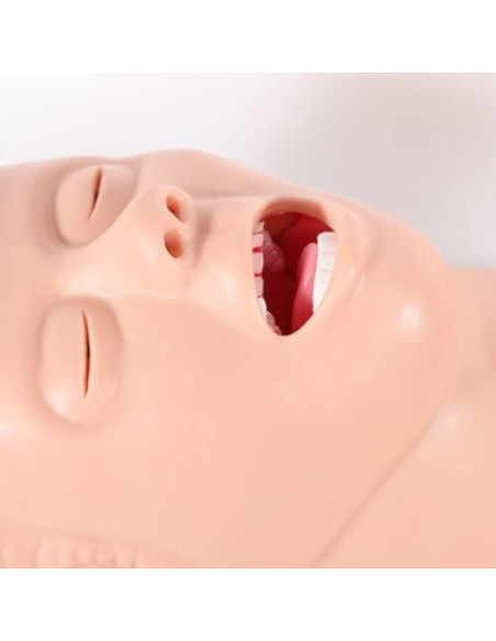 Maniquí de Intubación para Adultos BJTDLLX PVC 220V