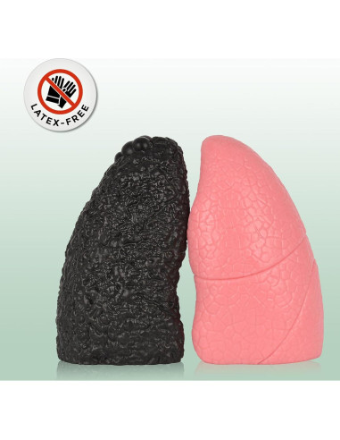 Modelo de Pulmón Saludable vs Fumador Ultrassist Mini 10.9cm