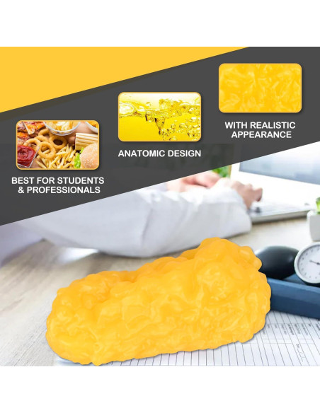 Réplica de Músculo y Grasa del Cuerpo Humano Skillssist 1.38kg