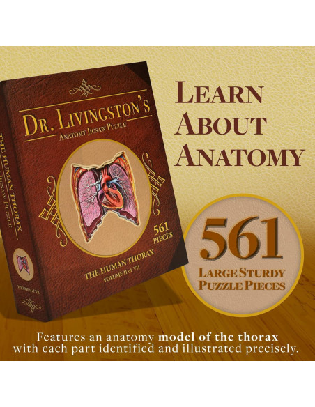 Rompecabezas de Anatomía del Tórax Humano Juegos Geniales 411 Piezas