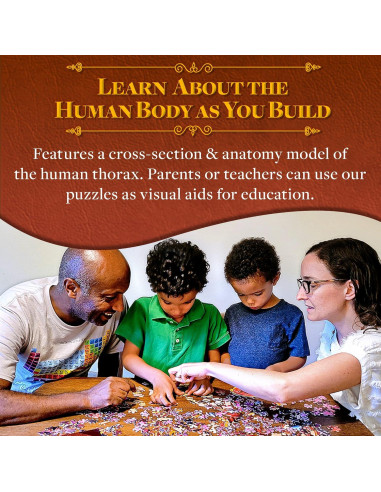 Rompecabezas de Anatomía del Tórax Humano Juegos Geniales 411 Piezas