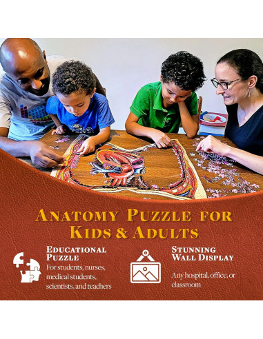 Rompecabezas de Anatomía del Tórax Humano Juegos Geniales 411 Piezas