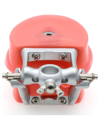 Typodont Dental Septan con 32 Dientes Removibles y Mejilla