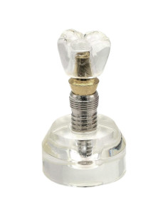 Modelo Dental de Implante XINGXING 2020-01 para Demostración