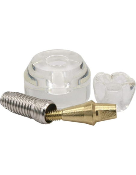 Modelo Dental de Implante XINGXING 2020-01 para Demostración