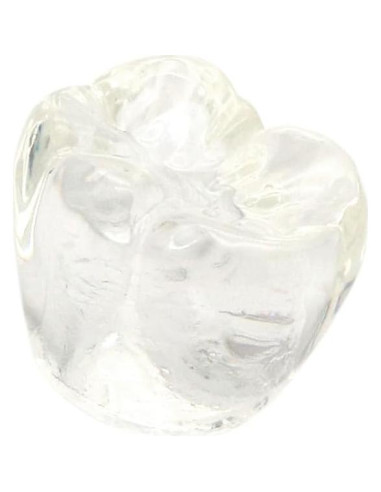 Modelo Dental de Implante XINGXING 2020-01 para Demostración