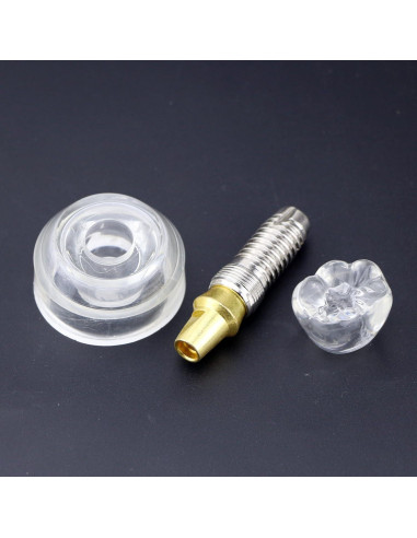 Modelo Dental de Implante XINGXING 2020-01 para Demostración