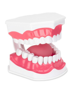 Modelo de Higiene Dental Practicon 2X Tamaño Real con Lengua Móvil