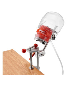 Maniquí Dental Montado en Banco 4E con 28 Dientes y Abrazadera