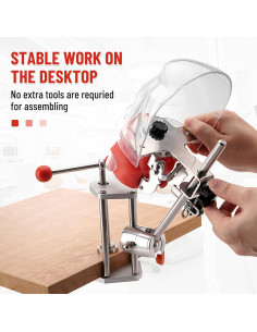 Maniquí Dental Montado en Banco 4E con 28 Dientes y Abrazadera 2