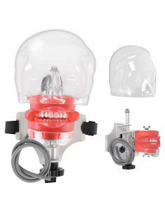 Cabeza de Maniquí Dental BUIFAC HYKTM-01 con 28 Dientes Removibles