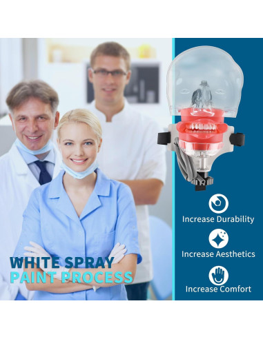 Cabeza de Maniquí Dental BUIFAC HYKTM-01 con 28 Dientes Removibles