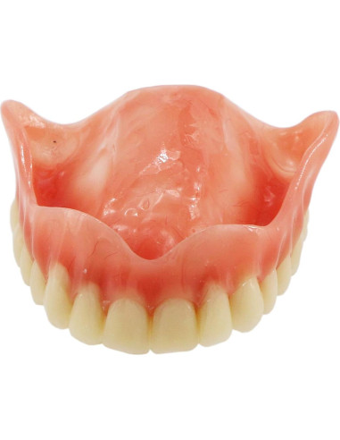 Modelo de Implantes Dentales Sobredentadura XINGXING M6001C