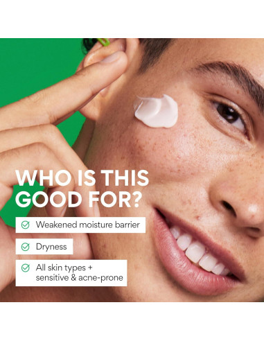 Crema Hidratante Facial Innisfree 50 ml con Ácido Hialurónico y Té Verde