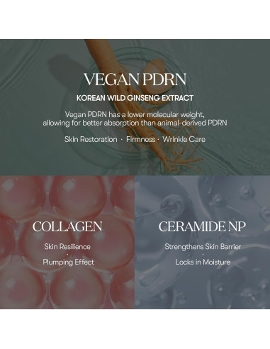 Bálsamo en Stick PDRN VT COSMETICS 9.4 g - Antiarrugas y Hidratante