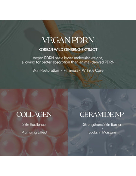 Bálsamo en Stick PDRN VT COSMETICS 9.4 g - Antiarrugas y Hidratante