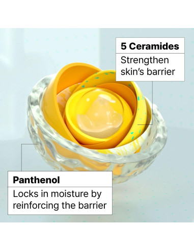 Crema Hidratante Barrera Ceramidin Dr.Jart+ 74.8 ml Piel Seca