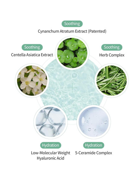 Crema Benton Heartleaf con Ceramida y Ácido Hialurónico 50g - Hidratante y Calmante