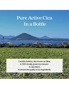 Esencia Hidratante Centella Asiática Mixsoon 30 ml - Cuidado Piel Sensible 2