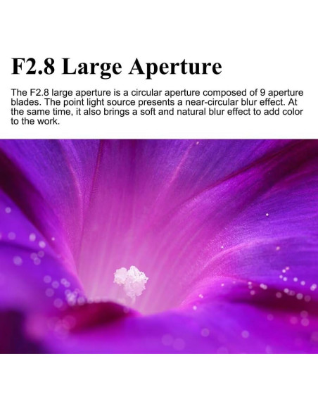 Lente Macro 60mm F2.8 2X 7artisans para Canon RF