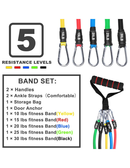 Juego de Bandas de Resistencia AGM con Mangos y Anclaje