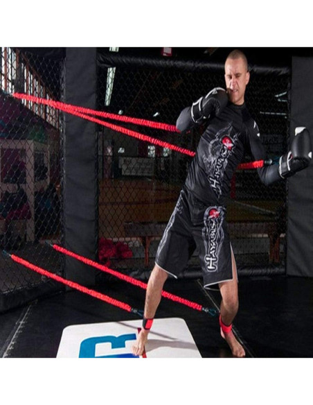 Entrenador de Resistencia YNXing 2.99 m Ajustable para Fuerza