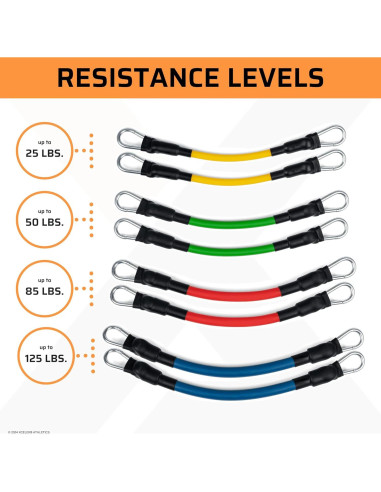Conjunto de Entrenamiento XCELER8: Bandas y Arnés de Velocidad