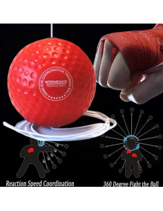 Pelota de Boxeo Reflex Druland con Banda Ajustable para Entrenamiento 2