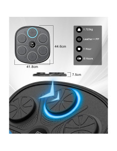 Entrenador de Boxeo Musical Irosiy para Niños y Familias 2