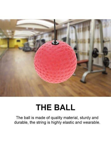 Bola de Reflexión de Boxeo Alomejor con Banda Elástica 6.3cm